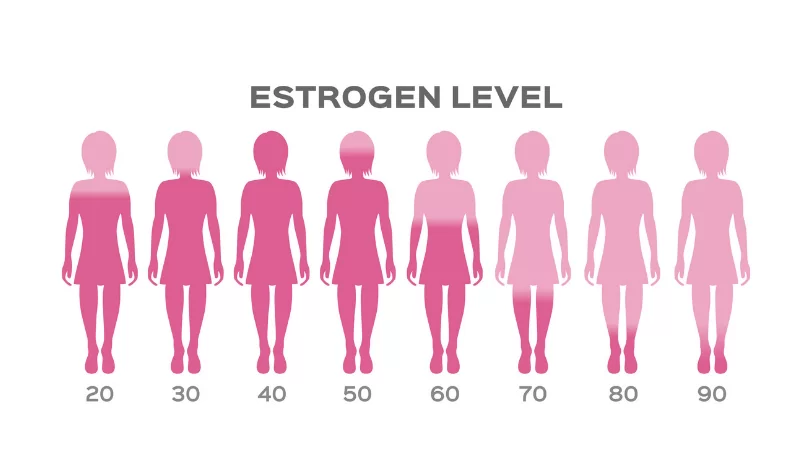 Estrogen level in Women