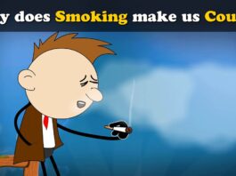 Why does Smoking Make us Cough - Health Daily Advice