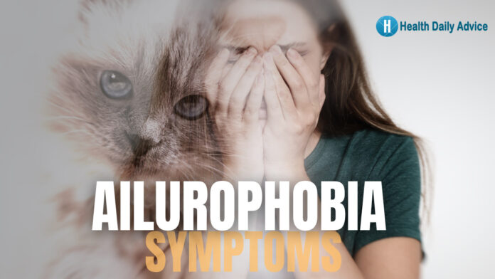 Recognizing Ailurophobia Symptoms